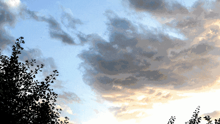 6.gif