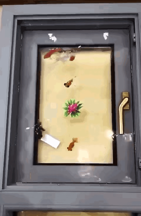 3.gif