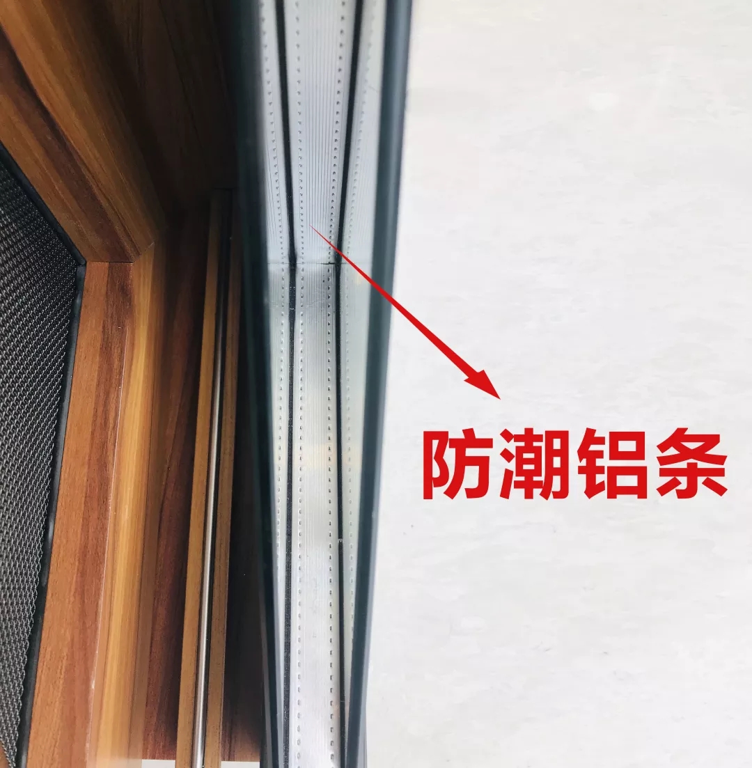 5.webp (1).jpg